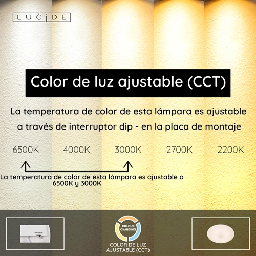 Lucide OLSON - Lámpara de techo Baño - Ø 29 cm - LED - CCT - 1x24W 3000K/6500K - IP44 - Ópalo - USP